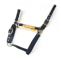 Licol en cuir réglable personnalisé OEM pour chevaux, doublé polaire, avec cordes, pour l'équitation, avec ferrures en satin