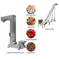 Convoyeur personnalisé en acier inoxydable convoyeur élévateur à godet unique pour grains de riz