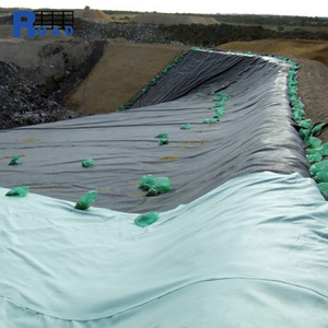 Fábrica directa Geomembrana HDPE 0,5mm Geomembrana para revestimientos de playa estanque Geomembrana - Product Image 6