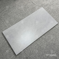 Carreaux de sol en porcelaine gris Lappato mat semi-poli 600x1200mm pour salon salle de bain intérieur
