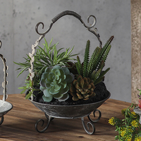 Jardinière en métal pour plantes de jardin, vase à fleurs, design vintage pour la décoration de la ferme
