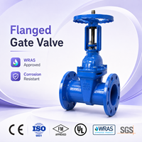 Vanne à opercule à tige montante à bride OS&Y AWWA C509 en fonte ductile avec siège élastique pour le contrôle de l'eau