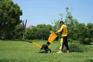 Sistema di Triturazione <span class=keywords><strong>Elettrico</strong></span> DR-GS-65SE 230mm Mobile per Legno Fine Trituratore di Foglie - Product Image 5