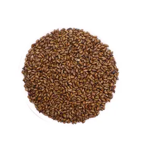 1 kg/bag bulk Cassia seed migliora la visione erbe essiccate semi di piante tè trattamento stitichezza