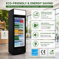 Réfrigérateur Commercial Vertical à Refroidissement Direct, Faible Niveau Sonore, Porte Vitrée Simple, Refroidissement Statique, Température Unique, Métal et Marbre