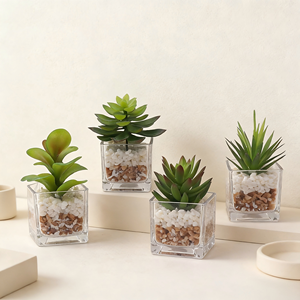 Set di 4 <span class=keywords><strong>Piante</strong></span> Succulente Artificiali di Alta Qualità in Vasi di Vetro, Piccole <span class=keywords><strong>Piante</strong></span> Finte per Decorazione Finestre - Product Image 1