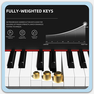 88 Key Piano Professionnel Piano <b>Keyboard</b> Instruments Digital Piano 88 Keys - Product Image 3