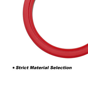 유압 시스템 씰링 누출 방지 내구성 신뢰성 강한 앤덤 로드 씰 DDMI 고온 저항 <span class=keywords><strong>PTFE</strong></span> 오일 프루프 - Product Image 4