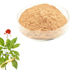 Kualitas tinggi bubuk akar Ginseng Panax 5%-80% bubuk ekstrak Ginseng Ginsenosides - Product Image 3