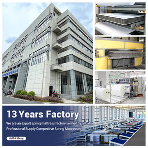 120x190 Ortopedicos Queen Cooling Twin Size pour chambre à coucher Matelas roulés Colchones Matelas - Product Image 6