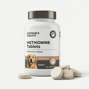 Comprimés de Méthionine Premium pour la Synthèse Protéique, Haute Pureté, Qualité Alimentaire, Soutien au Bien-être - Product Image 1