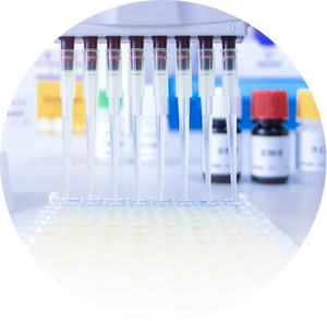 2in1 플루오로 퀴놀론-설폰 아미드 테스트 우유 항생제 테스트 키트 - Product Image 3