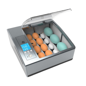 Incubateur miniature haute performance pour 16 œufs avec retournement automatique des œufs pour l'éclosion des oies, canards, oiseaux et poulets, nouvelle machine électrique - Product Image 3