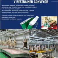Proyecto Llave en Mano: Línea Industrial de Sacrificio de Ovejas a Gran Escala, Equipo Automático para el Procesamiento de Cordero