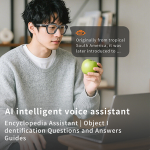 Ai thông minh kính thi ai Mắt kính hỗ trợ OEM tùy biến Dịch giả thời gian thực cuộc trò chuyện bằng giọng nói chụp ảnh video âm nhạc chơi - Product Image 3