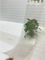 Peralatan Hologram Layar Transparan 3D Proyektor Holografik 3D Silinder Holografik 3D Manusia Digital