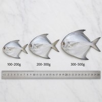 Pomfret argenté entier IQF surgelé de qualité supérieure 100-200g 200-300g Origine Chine Poisson de mer surgelé de haute qualité pour la restauration en gros