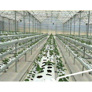 <span class=keywords><strong>Sac</strong></span> de <span class=keywords><strong>plantation</strong></span> hydroponique pour fraises, 15*12*115cm, 120 microns, robuste et durable - Product Image 5