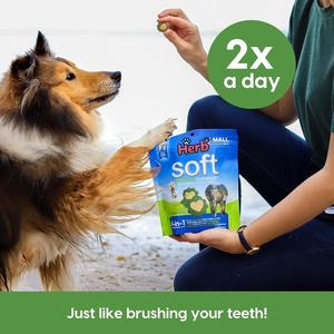 Golosinas Masticables Blandas para Perros de Alta Calidad con Etiqueta Privada OEM/ODM, Sin Granos, Sabor Orgánico, para la Salud de las Encías - Product Image 5