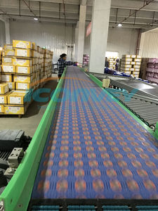 Sistem Konveyor Penyortir Cerdas Sabuk Modular untuk Industri Ekspres - Product Image 2