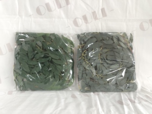 J-<span class=keywords><strong>04095</strong></span> Großhandel Perser farn verlässt Grün Kunst gras hängende künstliche Pflanze für Hochzeit Dach Balkon Dekoration - Product Image 2