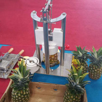 Commerciële roestvrijstalen ananas schilmachine, fruit ananas schilmachine voor fruitverwerkingsbedrijven