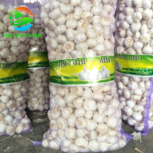 Ajo Fresco de Nueva Cosecha China, Suministro de Ajo Blanco Normal y Ajo Blanco Puro de Fabricante Mayorista de Ajo - Product Image 1