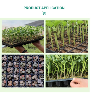 Bandeja de germinación de plástico PET de alta calidad para microvegetales, 50 celdas, para semillero, bandeja de plástico para macetas de flores, venta al por mayor - Product Image 5