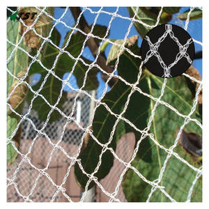 Cuerda de pesca multifilamento de nailon, redes antiaves agrícolas - Product Image 3