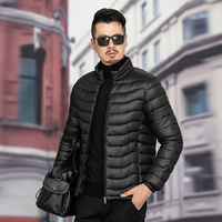 Nouvelle Veste Rembourrée Homme Automne Hiver 2025 – Col Montant, Couleur Unie, Fermeture Éclair – Manteau Décontracté d'Extérieur