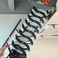 Échelles de grenier télescopiques invisibles pliantes manuelles modernes, montées au mur, en acier, pour intérieur et extérieur, capacité de charge de 300 kg