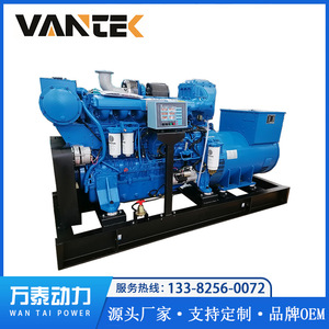 Groupe électrogène diesel marin Jiangsu Wantai 300 kW 400 V 50 Hz 1500 tr/min Ccfj300j W avec télécommande - Product Image 5