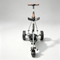 Chariot de golf électrique et télécommandé avec système de moteur double silencieux, best-seller en Europe, batterie au acide ou au lithium en option