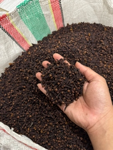 Fournisseur d'épices en gros, clous de girofle entiers séchés naturels à bon prix, clous de girofle secs pour la nourriture - Product Image 3