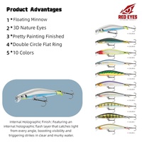 Échantillon Gratuit Leurre Minnow Flottant Red Eyes 90mm 7.7g, Holographique Interne, Appât Dur pour Longue Portée, Bass et Redtail, Vente en Gros