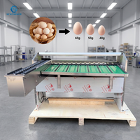 Machine de triage automatique d'œufs en acier inoxydable 5400 PCS/H, trieuse et calibreuse d'œufs pour ferme avicole