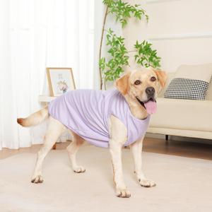 T-shirt pour chien en coton uni à bas prix, respirant, vêtements <span class=keywords><strong>d</strong></span>'<span class=keywords><strong>été</strong></span> et de printemps pour chiens, t-shirts vierges pour chiens pas chers en provenance de Chine - Product Image 4