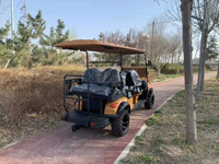 Voiture de golf électrique de luxe haut de gamme 120A, 3 à 4 places, tout-terrain, 72V, véhicule utilitaire équipé d'un contrôleur intelligent