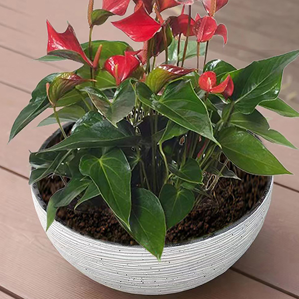 Stone Textured 40 Cm Plastic Plant Pots Minimalist Large Bowl Lotus Planter  Pot 15.8 Inch Factory Direct Durable Flower Pot