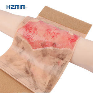 Medical Training Manequim Silicone Módulos <span class=keywords><strong>Trauma</strong></span> Burn Cut Puncture Simulação para Enfermeira Treinamento para Cinema e Televisão - Product Image 4