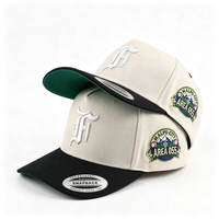 Gorras de Béisbol Personalizadas de Alta Calidad para Hombre, de 5 Paneles, con Bordado, Cierre a Presión, Bordado a Mano, Impresión Puff