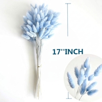 60 Pcs Rumput Pampas Kering Lagurus Ovatus 17-inci, Paket Besar, Bunga Kering Blue Bunny Tails untuk Dekorasi Pernikahan Boho