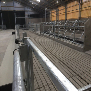 Cadre léger de Structure En Acier Bovins Ferme Maison Vache Hangar En Métal Feuille/Panneau sandwich En Acier H En Acier A-190509-3 Q235 Q345 GO - Product Image 3