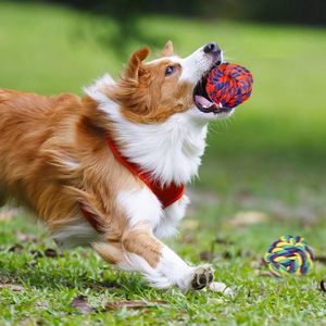 Juego de Juguetes Masticables Duraderos de Lujo Personalizados para Perros, Juego de Juguetes Esféricos con Nudos Interactivos para Perros - Product Image 4