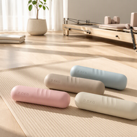 Haltères en silicone antidérapants esthétiques OEM en gros 1,5 kg/2,5 kg, ergonomiques et respectueux de la peau pour l'entraînement de Pilates