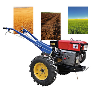 أرض زراعية قطعة أرض صغيرة مزروعة بستان أرضي زراعية المشي في الفراولة تخندق البصل الأخضر - Product Image 5