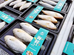 DQ240VST-máquina de envasado de alimentos al vacío, sellador manual de tazas para alimentos congelados, embalaje de carne, bandeja para la piel - Product Image 4