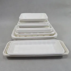 Sugarcane Bagasse food serving tray China Wholesales Biodegradable Disposable fast Food Safe Tray