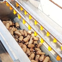Anxu Commerciële Kurkuma Gember Cassave Aardappel Fruit Schillen Wasmachine Plc Pomp Motor Motor Hoge Efficiëntie