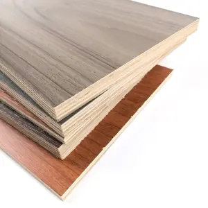 Light weight 4 x 8 cheap treated Plywood for almirah